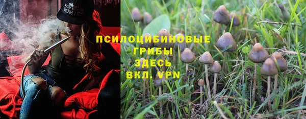 а пвп мука Осинники